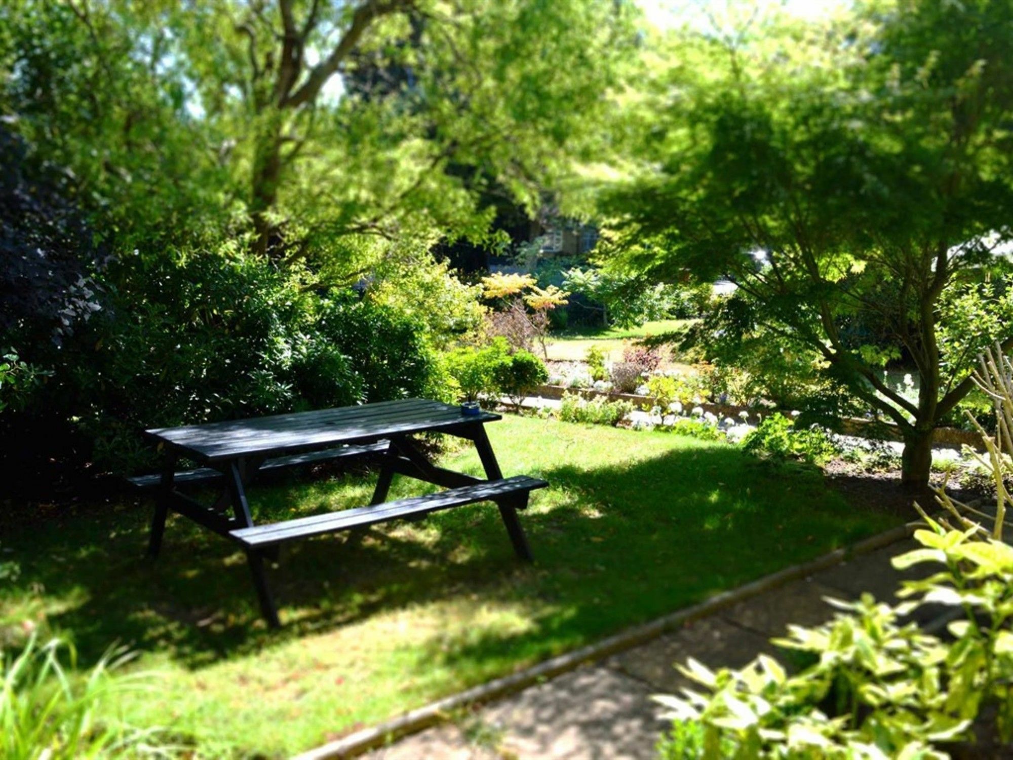 Somerton (adults Only) 2*